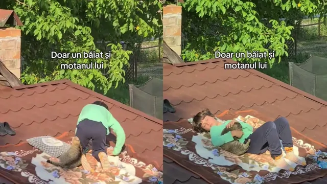 Мальчик устроил уютное место для отдыха с котиком прямо на крыше