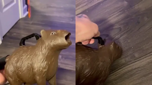 Инженер напечатал на 3D-принтере насадку на пылесос в виде капибары с открытым ртом