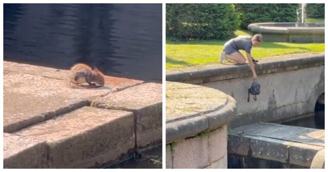 У Морского канала в Петербурге прохожие всеми силами пытались выловить из воды бельчонка