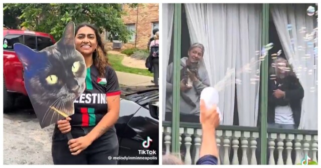 В Миннеаполисе прошел ежегодный "Кошачий тур", где люди с плакатами просят жителей показать кошек в окно