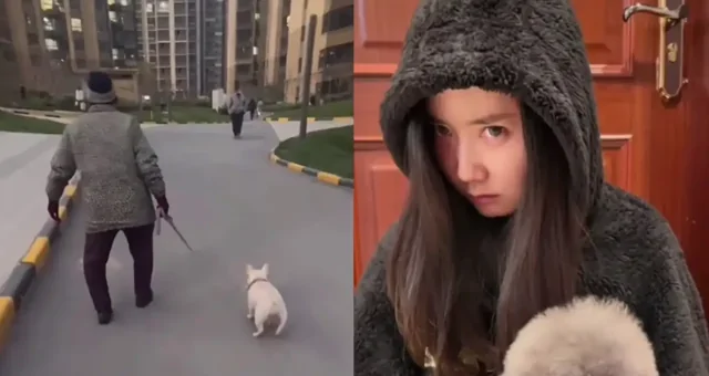 Видеоподборка, показывающая, насколько питомцы похожи со своими хозяевами