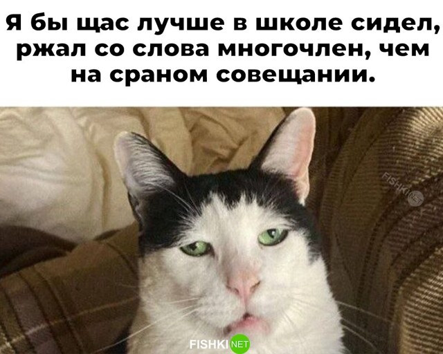 Не ищите здесь смысл. Здесь в основном маразм