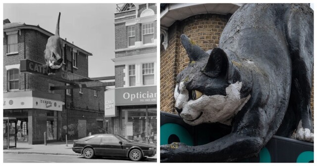 Кот из Кэтфорда: исполинский страж лондонского района