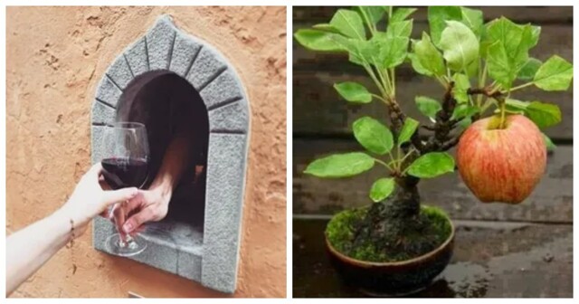 12 пронзительных фотографий с историей, которые трогают до глубины души