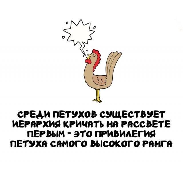 А вдруг ты не знал…