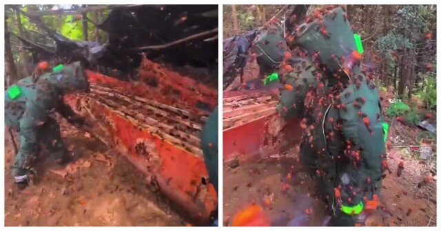 Ликвидация гнезда шершней в Китае