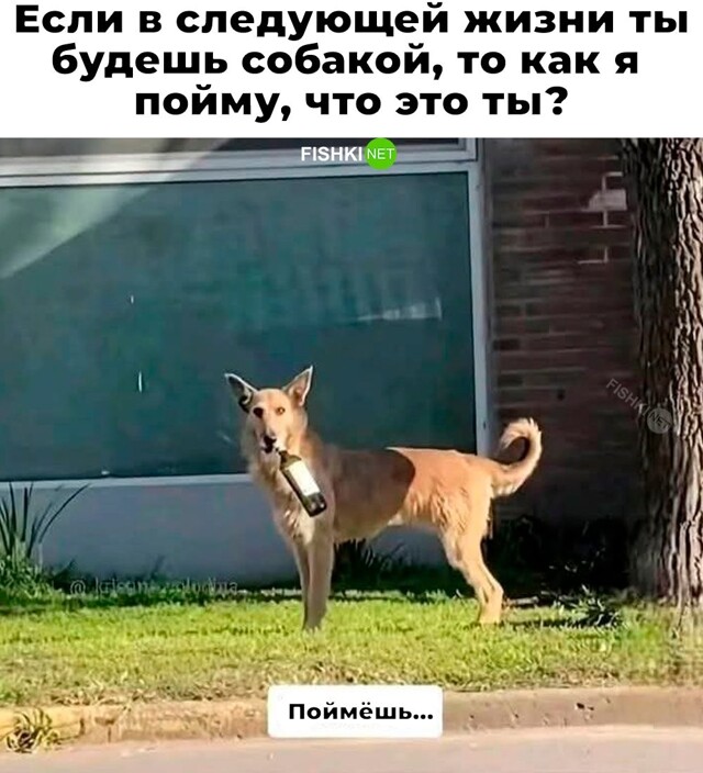 Скрины из соцсетей