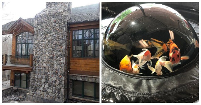 20 интересных моментов, на которые придётся взглянуть дважды