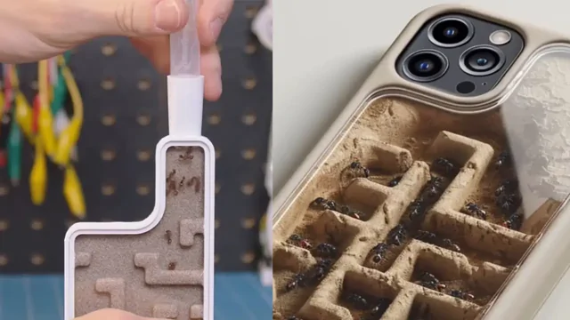 Энтузиаст создал чехол для смартфона с миниатюрной муравьиной фермой