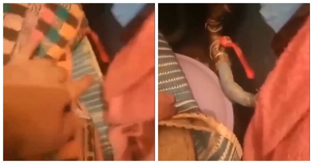 Ольга, беги домой!