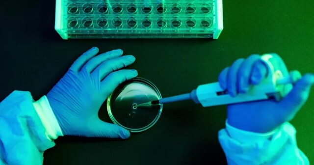 Учёные создали препарат, способный остановить старение