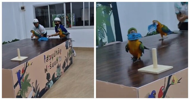 Когда победа важнее правил игры