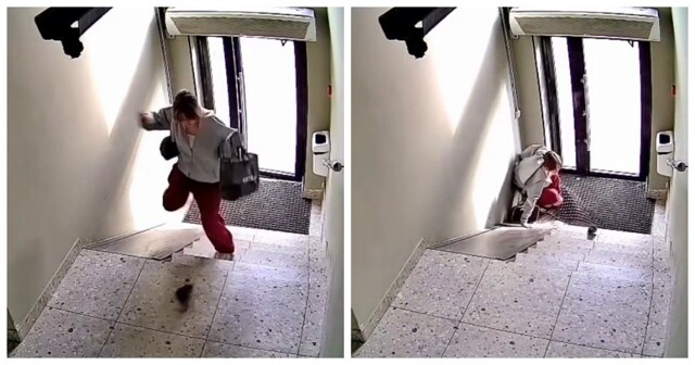 Девушка испугалась мыши