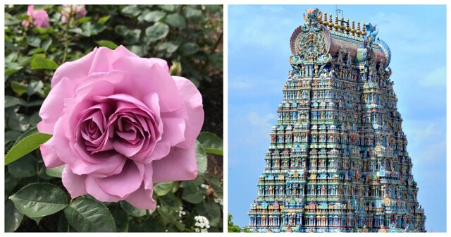 20 поразительных фото, доказывающих, что наш мир – место загадок и чудес