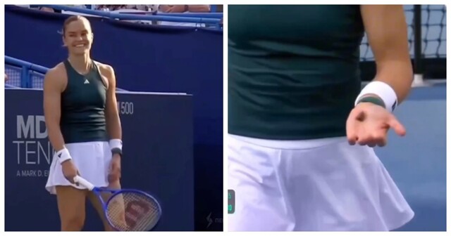 Теннисистка спасла жука, а через несколько секунд его раздавил бол-бой