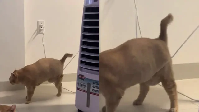 Такой ловушки он не ожидал