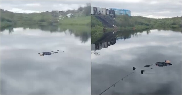 В Красноярском крае рыбаки поймали самый необычный улов в своей жизни