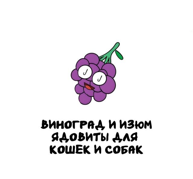 А вдруг ты не знал…