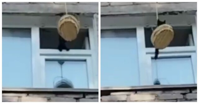 Спасение котенка в Томске