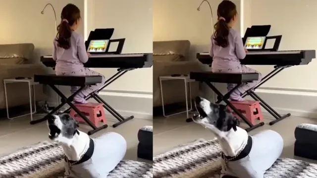 Собака подпевает маленькой хозяйке