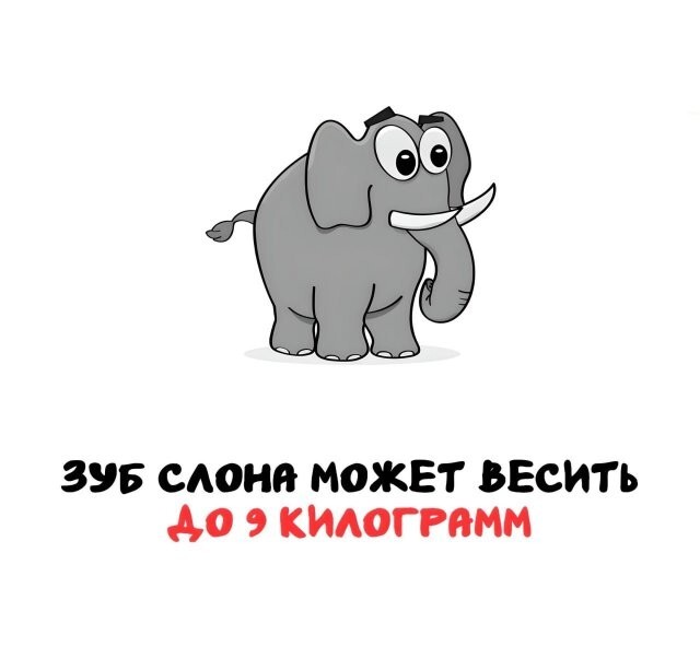 А вдруг ты не знал…