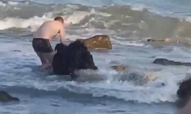 Мужчина в Одессе попытался украсть мину, выброшенную на берег, но не смог её поднять