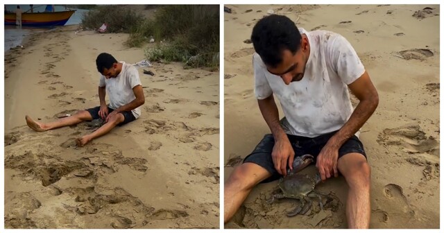 Краб поймал иранца