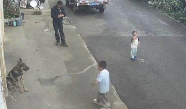 Мальчик дразнил пса и был наказан