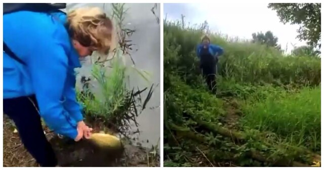 Конфликт с "хозяйкой пруда"