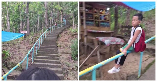 Лестница в лесу