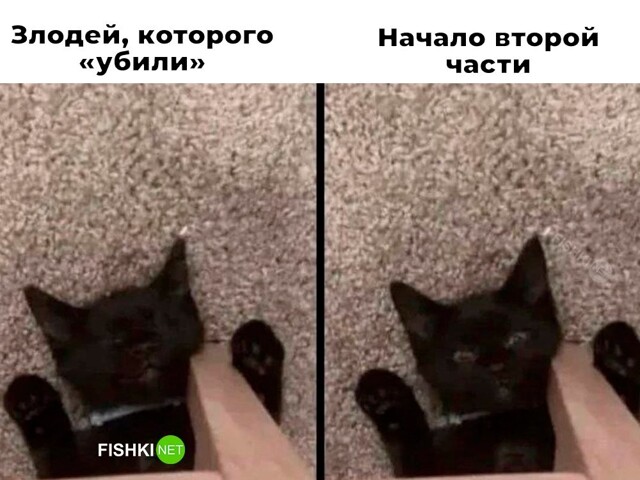 Скрины из соцсетей