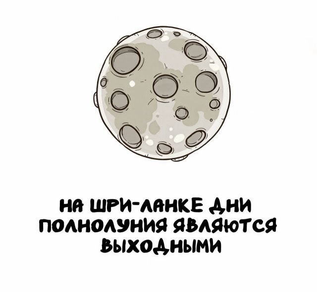 А вдруг ты не знал…