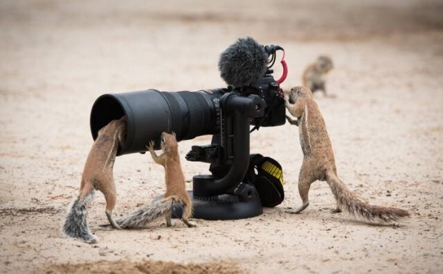  Намешалось 