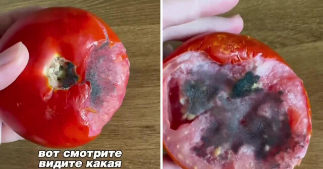 Блогерша провела простой эксперимент, чтобы развеять миф о «безопасной» плесени