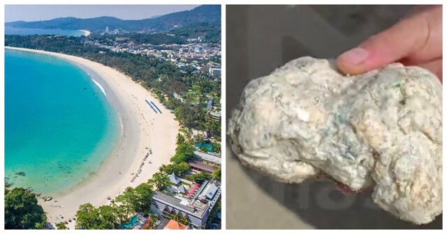 Российские туристы нашли на пляже в Таиланде рвоту кашалота