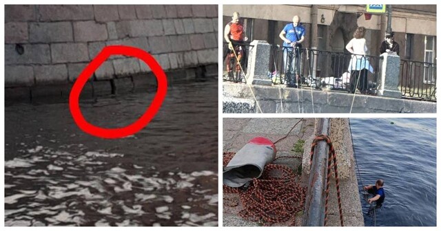 В Санкт-Петербурге несколько дней безуспешно пытаются спасти кота, застрявшего в стене набережной