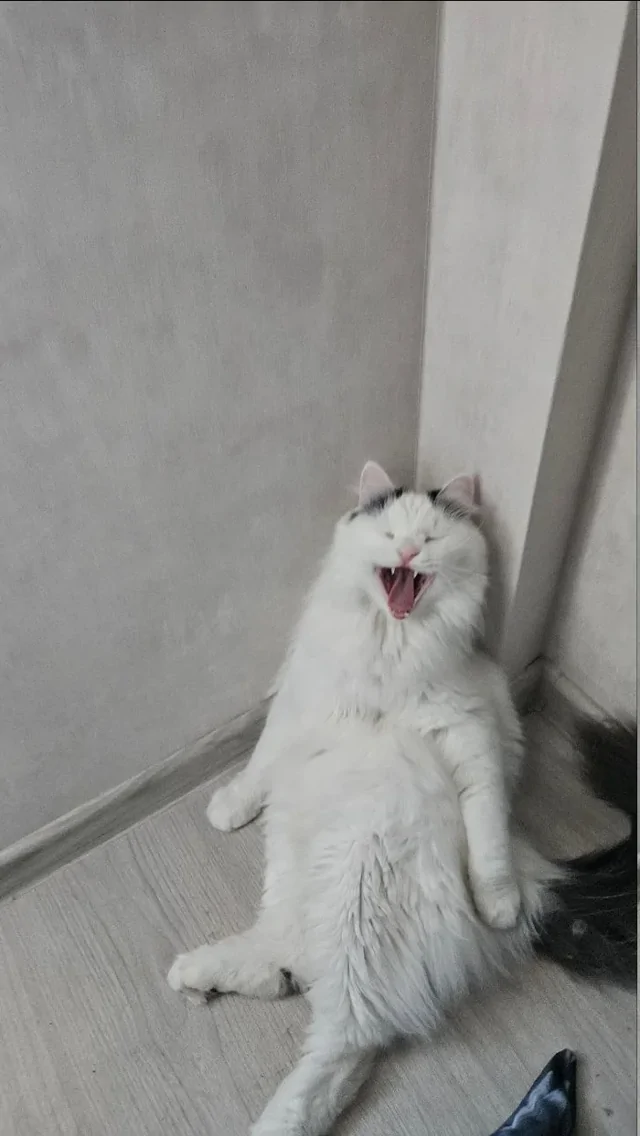 Признавайтесь, зевнули? =)