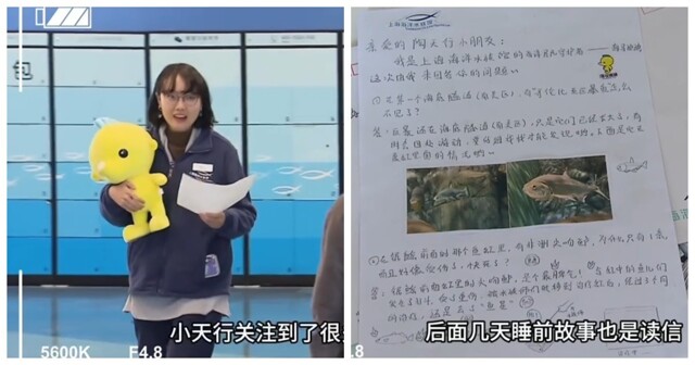 Мальчик, обожающий рыб, написал в океанический парк о пропаже некоторых морских обитателей и получил ответное письмо