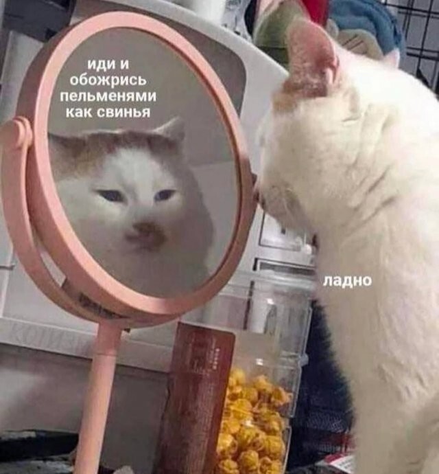 Я и моя лень