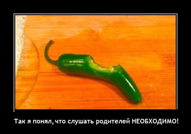 Демотиваторы для всех