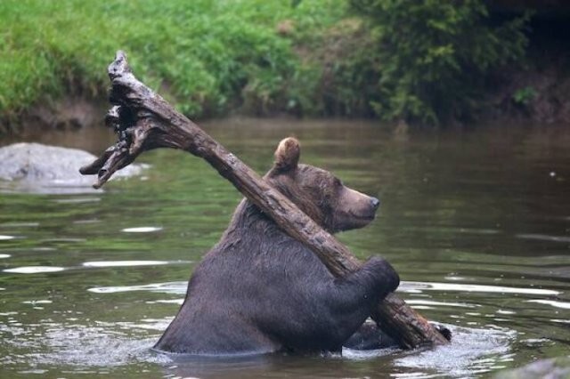 Всё вразнобой 