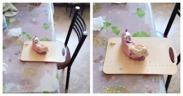 Колбаса взорвалась в квартире жителя Уссурийска