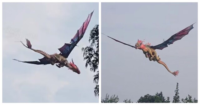 Житель Китая создал эффектного дракона из пенопласта