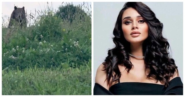 Медведь прервал отдых татарской певицы и членов её команды