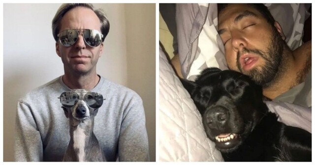 Собаки, похожие на своих хозяев