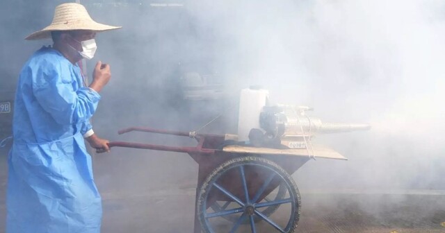 Риск новой пандемии: что произойдёт с организмом, если вы подхватите вирус чикунгунья?