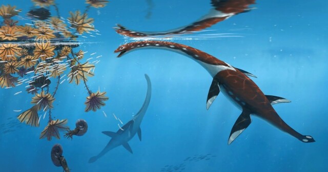 Обнаружено ещё одно морское чудовище юрского периода