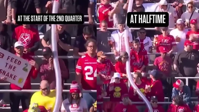 Болельщики на трибуне соорудили огромную змейку из пустых стаканов