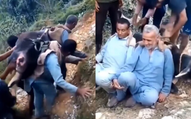 В Индии 2 брата на себе принесли 200-кг корову к ветеринару