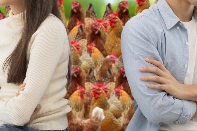 В Китае супруги через суд поделили курицу при разводе